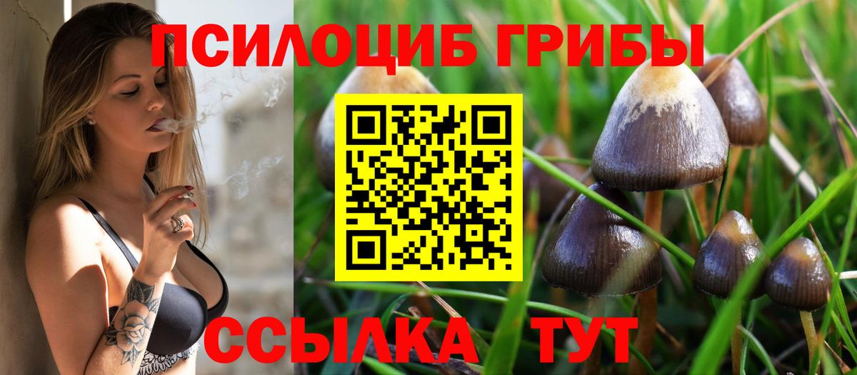 Псилоцибиновые грибы мухоморы  Псилоцибиновые грибы Cubensis  Балашиха  Вход с VPN 